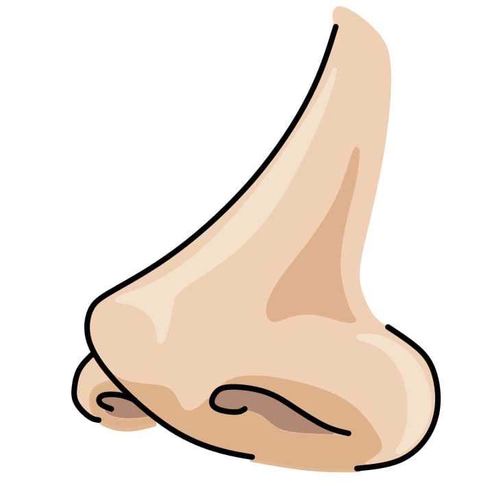 Hướng dẫn cách vẽ chiếc mũi chi tiết từng bước cho bé