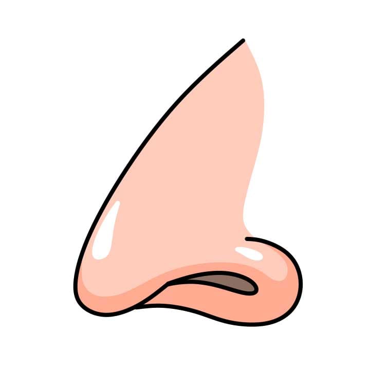 Hướng dẫn vẽ chiếc mũi cực đơn giản cho bé