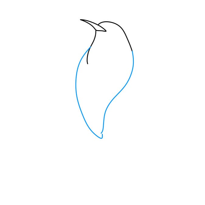 Hướng dẫn cách vẽ chim ruồi đơn giản và đẹp cho bé - Bước 3