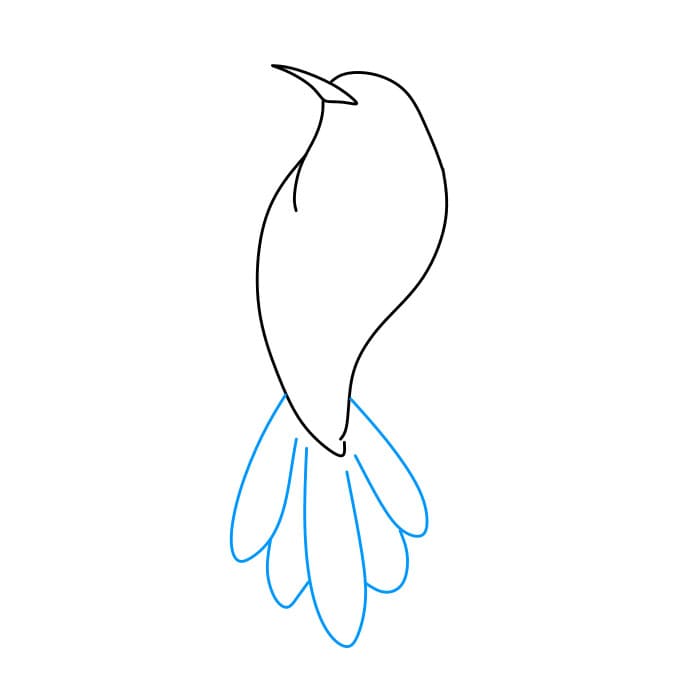 Hướng dẫn cách vẽ chim ruồi đơn giản và đẹp cho bé - Bước 4