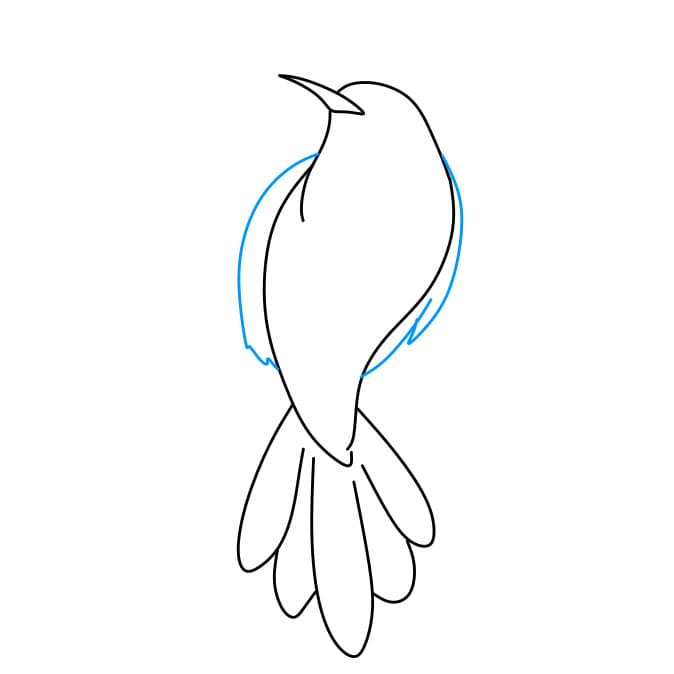 Hướng dẫn cách vẽ chim ruồi đơn giản và đẹp cho bé - Bước 5