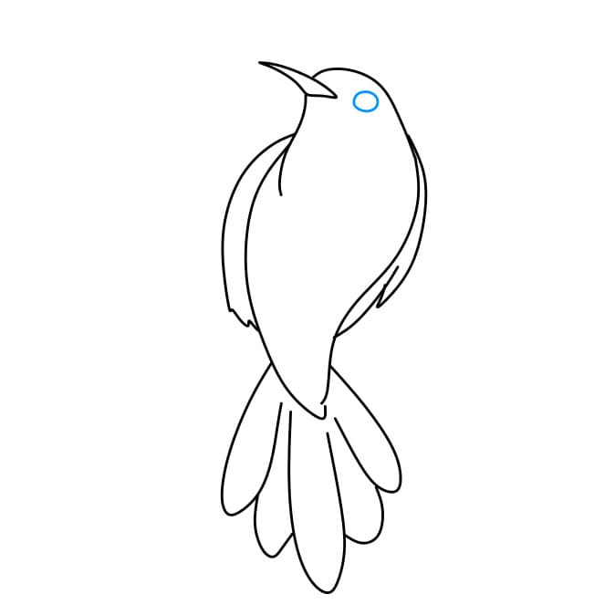 Hướng dẫn cách vẽ chim ruồi đơn giản và đẹp cho bé - Bước 6