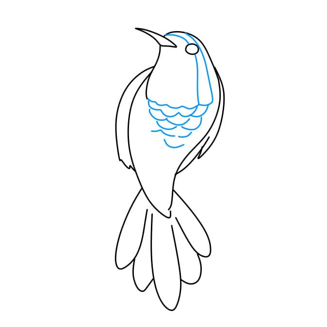 Hướng dẫn cách vẽ chim ruồi đơn giản và đẹp cho bé - Bước 7