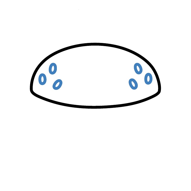 Hướng dẫn vẽ chiếc Hamburger hoạt hình. - Bước 2