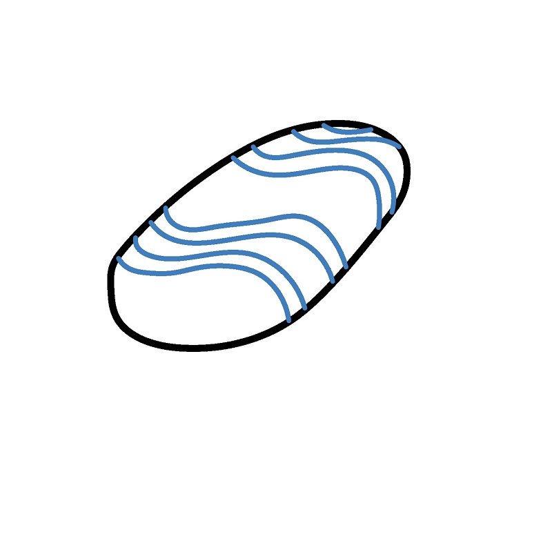 Hướng dẫn vẽ Sushi cực hấp dẫn. - Bước 2