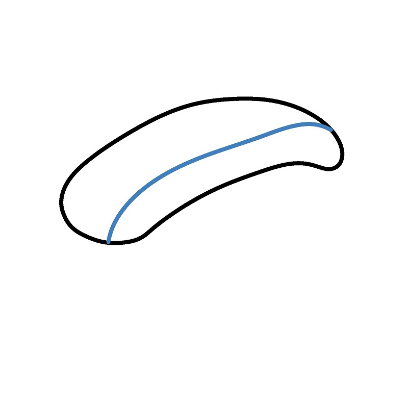 Hướng dẫn vẽ Sushi đơn giản. - Bước 2