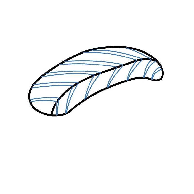 Hướng dẫn vẽ Sushi đơn giản. - Bước 3