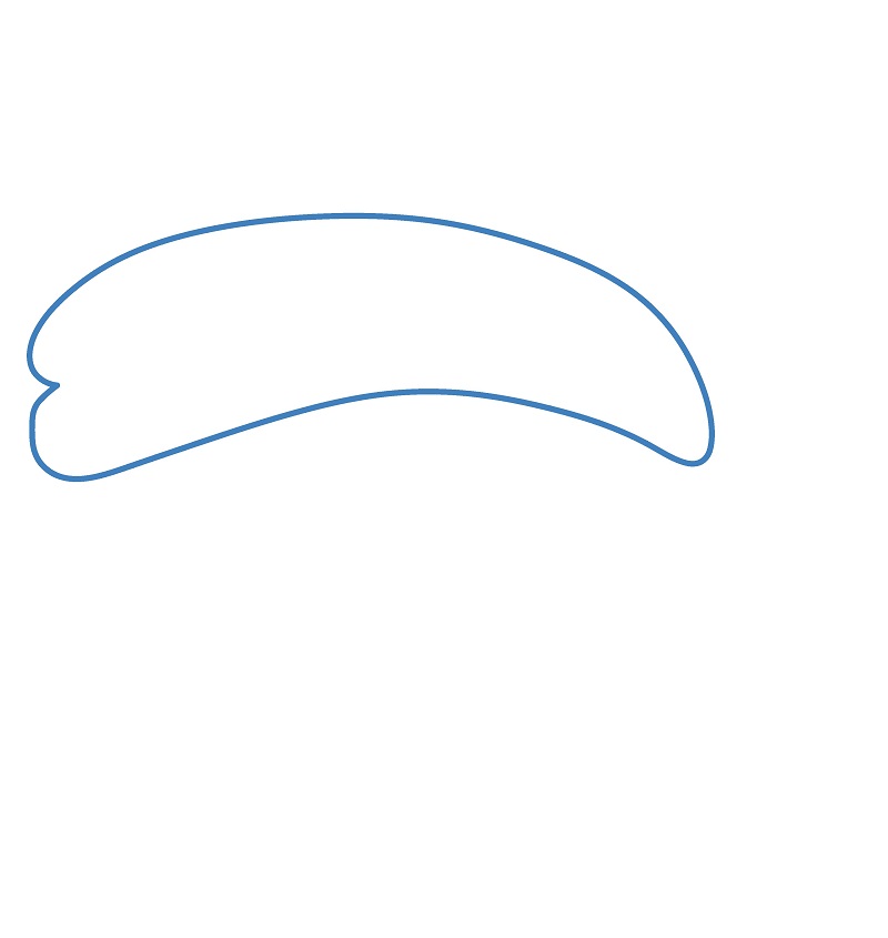 Hướng dẫn vẽ miếng Sushi hoạt hình. - Bước 1