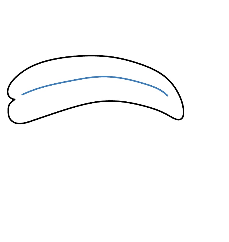 Hướng dẫn vẽ miếng Sushi hoạt hình. - Bước 2