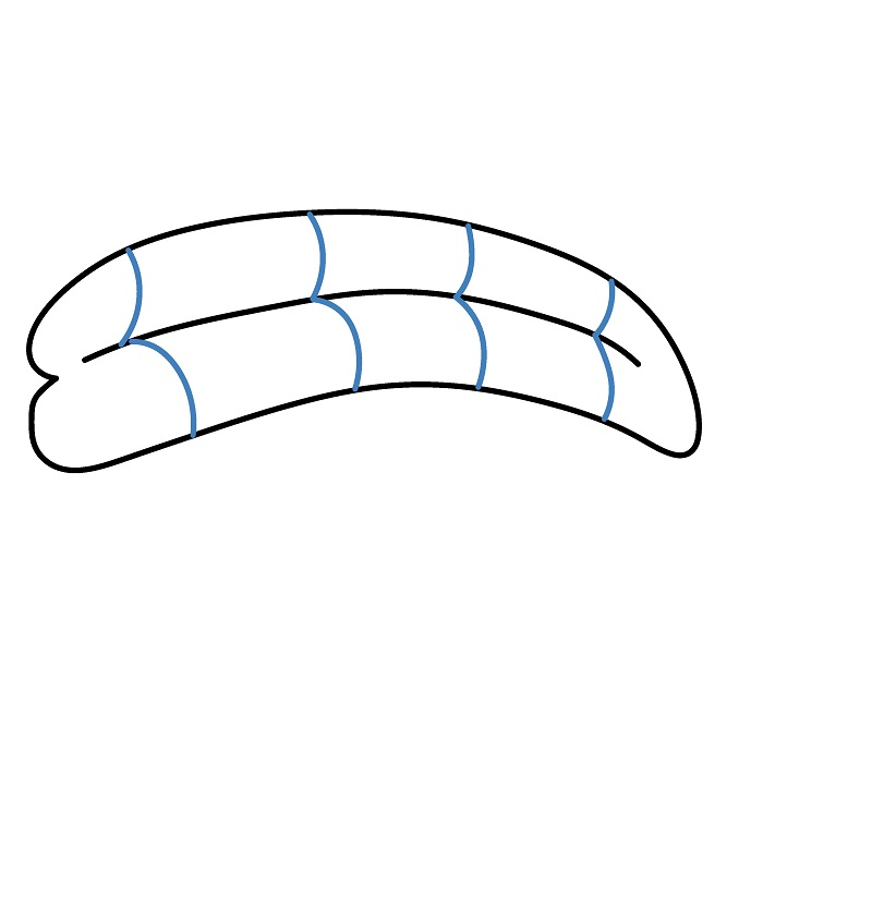 Hướng dẫn vẽ miếng Sushi hoạt hình. - Bước 3