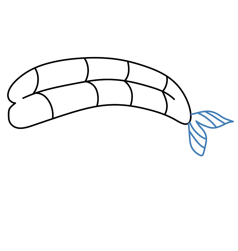 Hướng dẫn vẽ miếng Sushi hoạt hình. - Bước 4