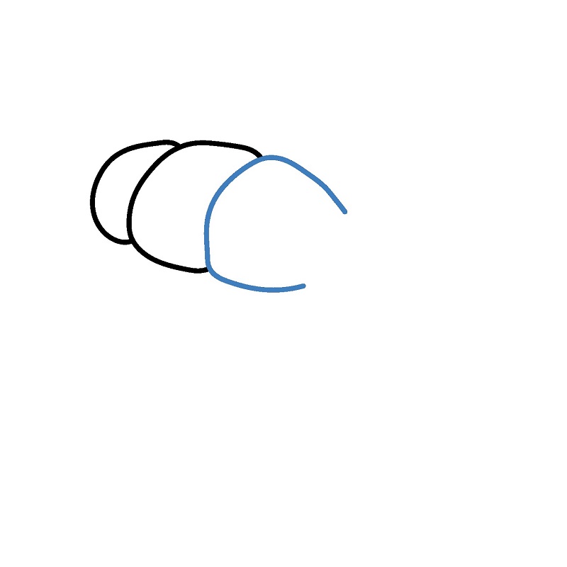 Hướng dẫn vẽ miếng Sushi tôm đẹp mắt. - Bước 2