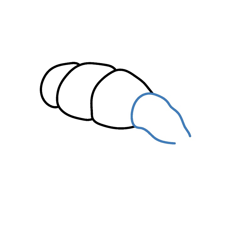 Hướng dẫn vẽ miếng Sushi tôm đẹp mắt. - Bước 3