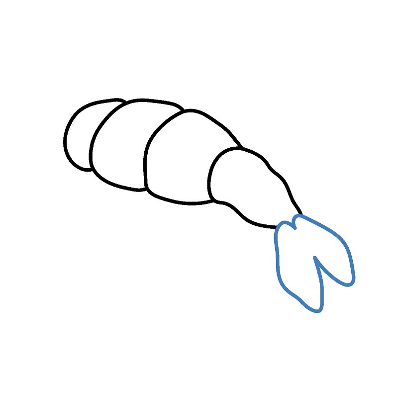 Hướng dẫn vẽ miếng Sushi tôm đẹp mắt. - Bước 4