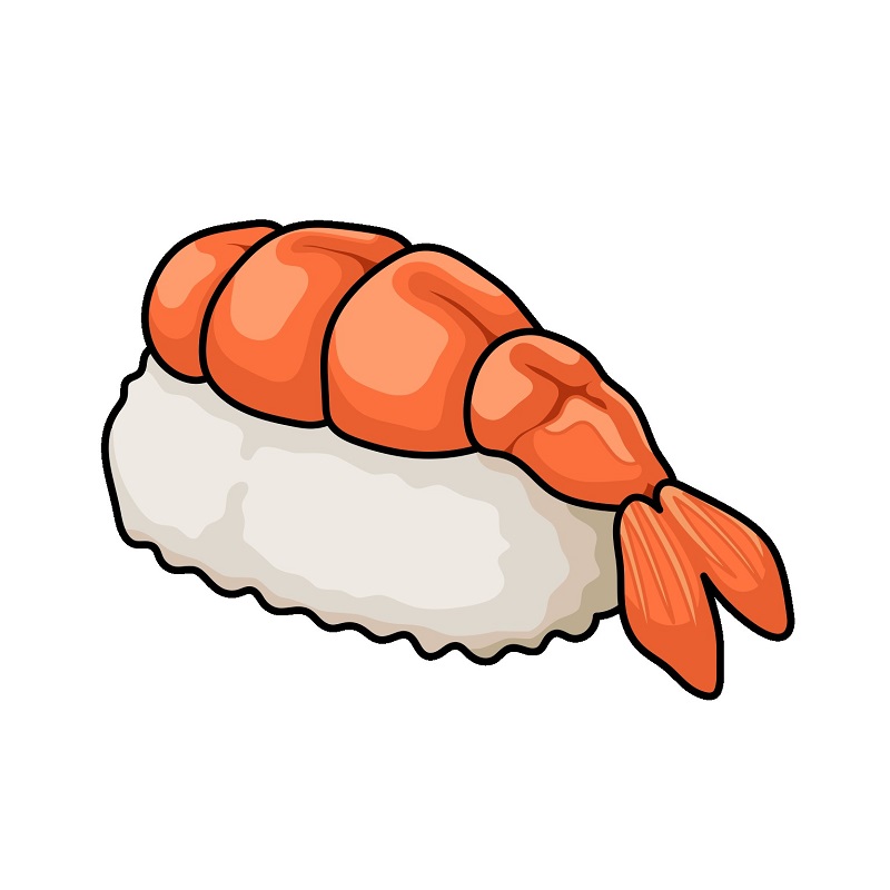 Hướng dẫn vẽ miếng Sushi tôm đẹp mắt.