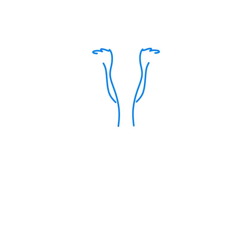 Hướng dẫn vẽ đôi cánh thiên thần đơn giản - Bước 1