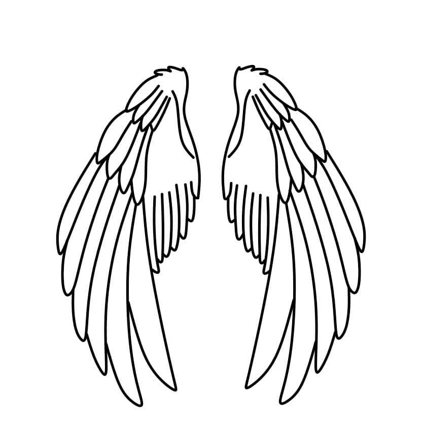 Hướng dẫn vẽ đôi cánh thiên thần đơn giản