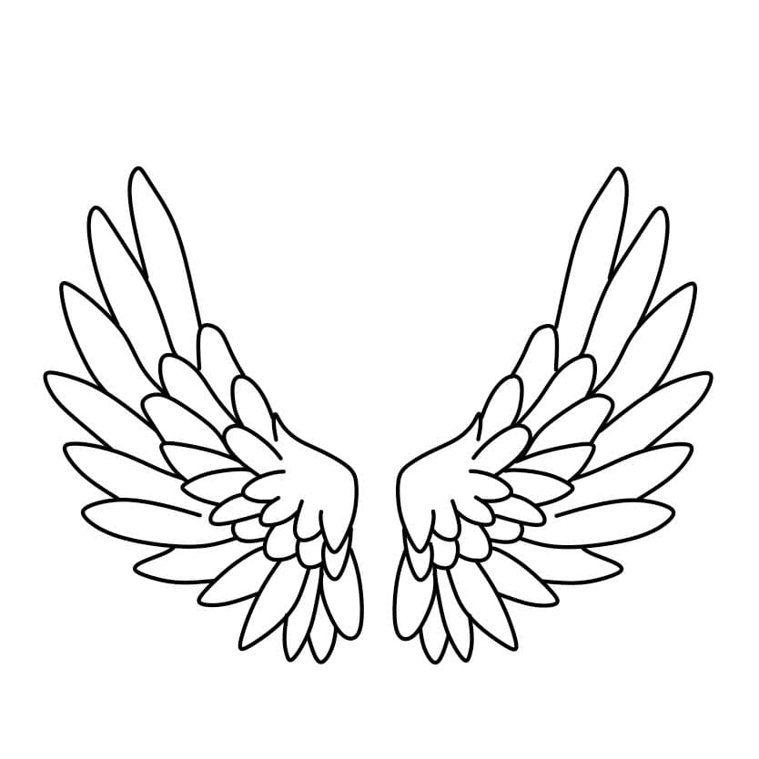 Hướng dẫn vẽ đôi cánh thiên thần dễ thương và đẹp cho bé