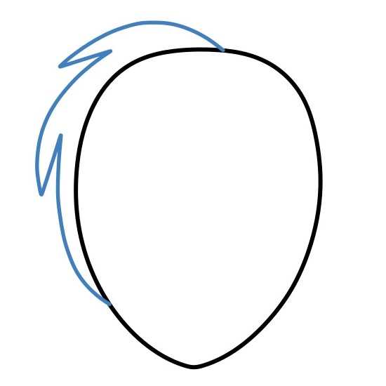 Hướng dẫn vẽ mặt nạ nghệ thuật. - Bước 2