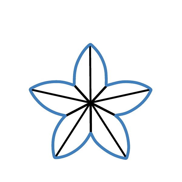 Hướng dẫn vẽ ngôi sao năm năm cánh trang trí giáng sinh. - Bước 3