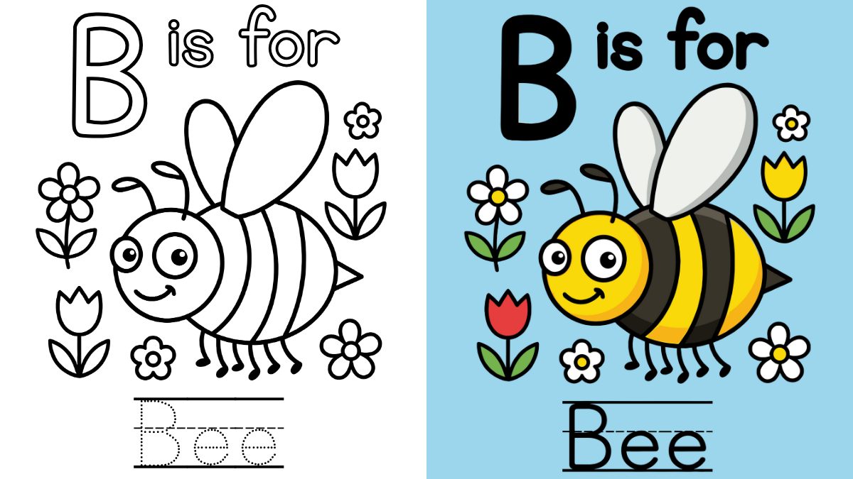 Trang Tô Màu Chữ B
