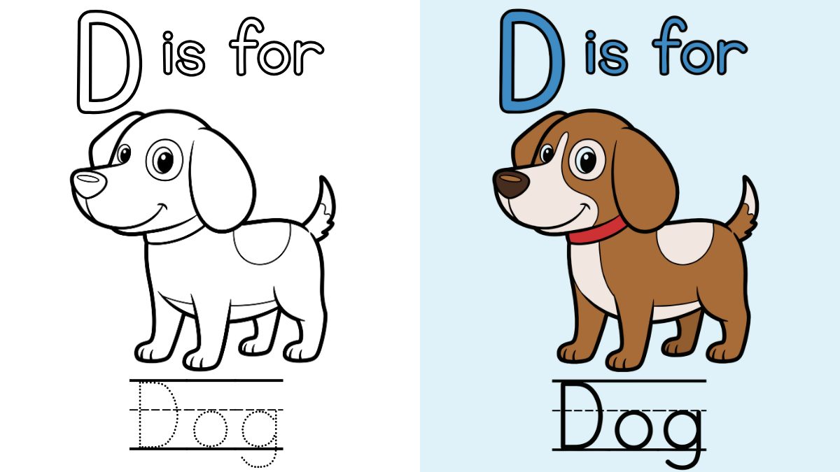 Trang Tô Màu Chữ D