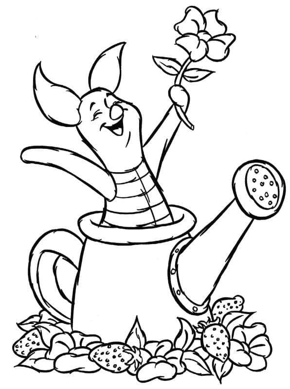 Bình Tưới Nước Vui Nhộn