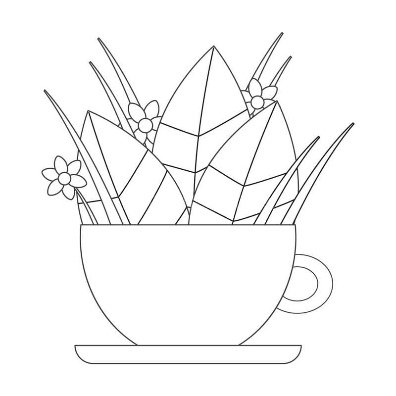 Cái Cốc Đẹp Nhất