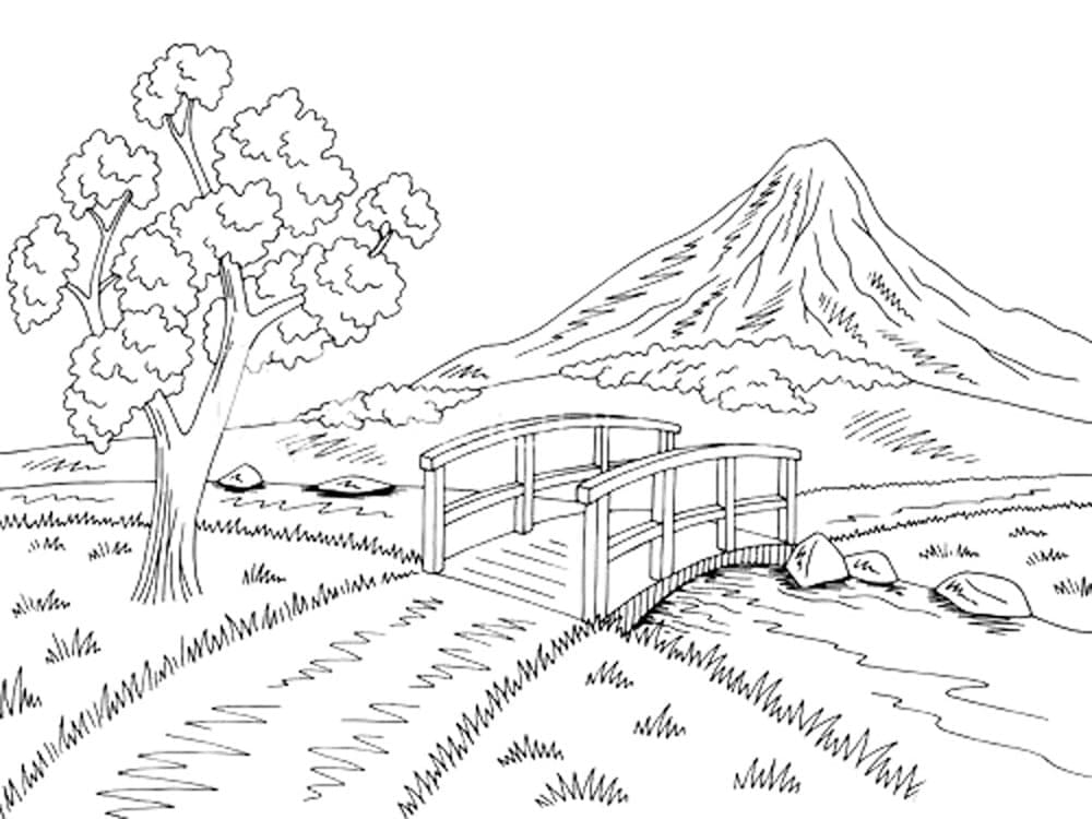 Cây Cầu Miền Quê