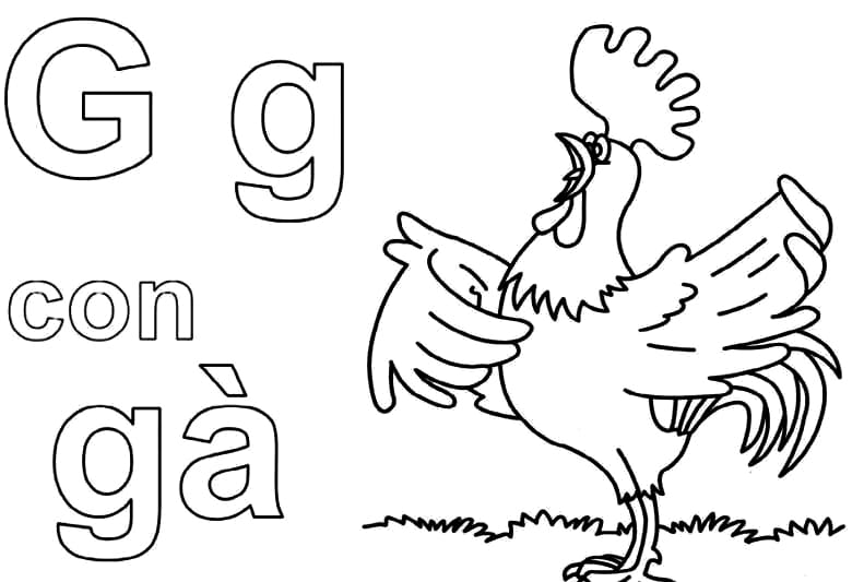 Chữ G Con Gà