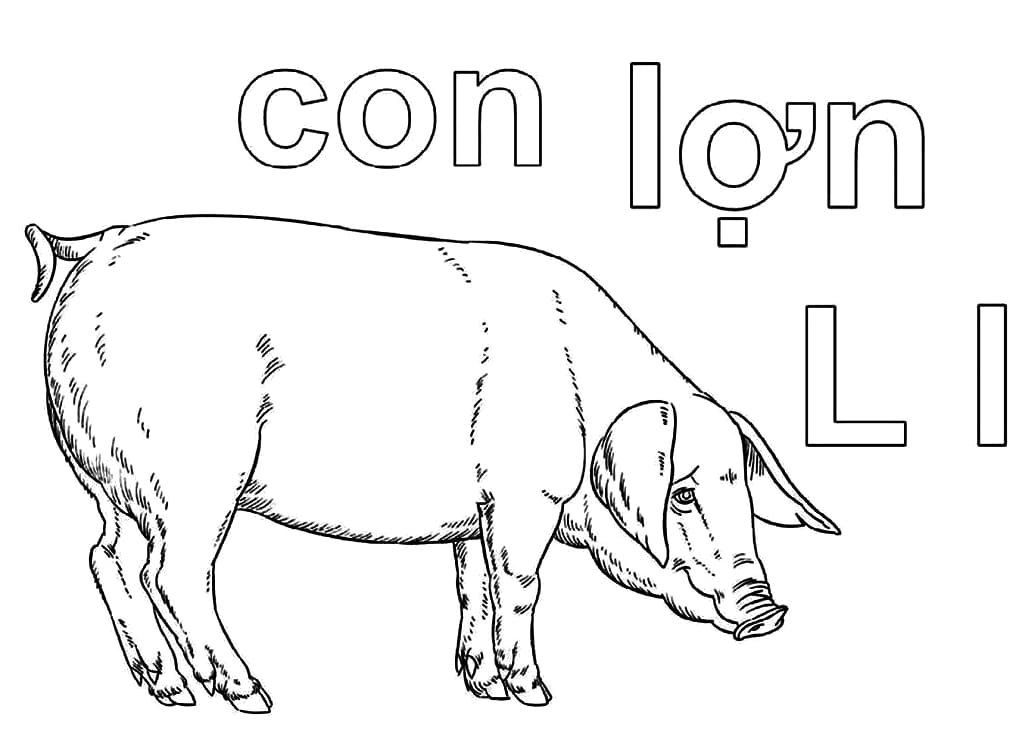 Chữ L Con Lợn