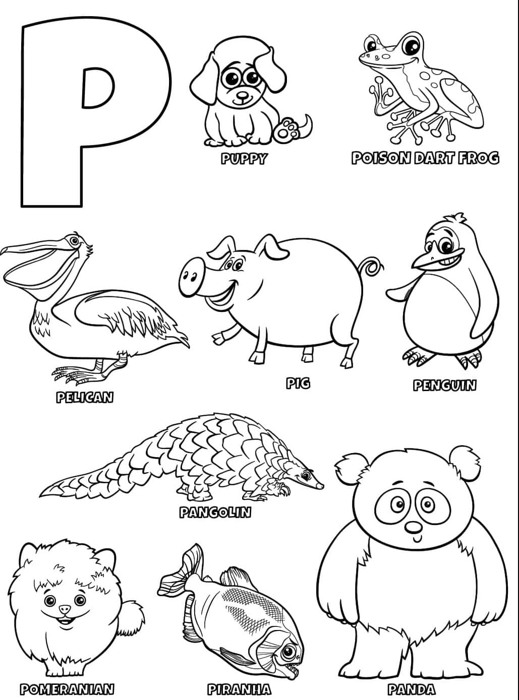 Chữ P Và Các Con Vật