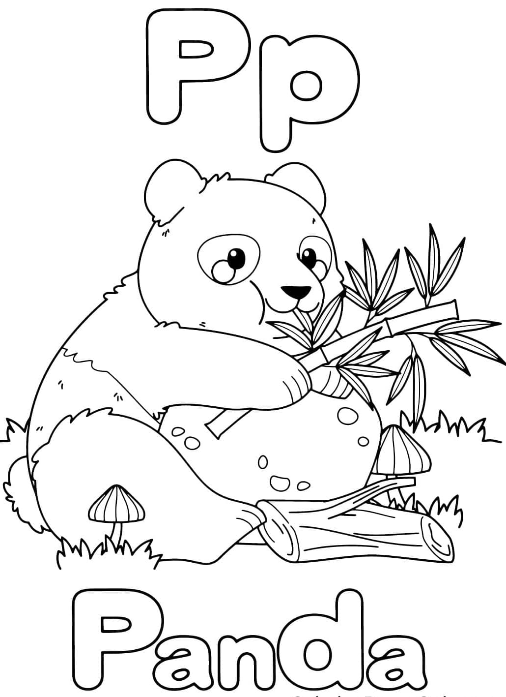 Chữ P Và Gấu Trúc