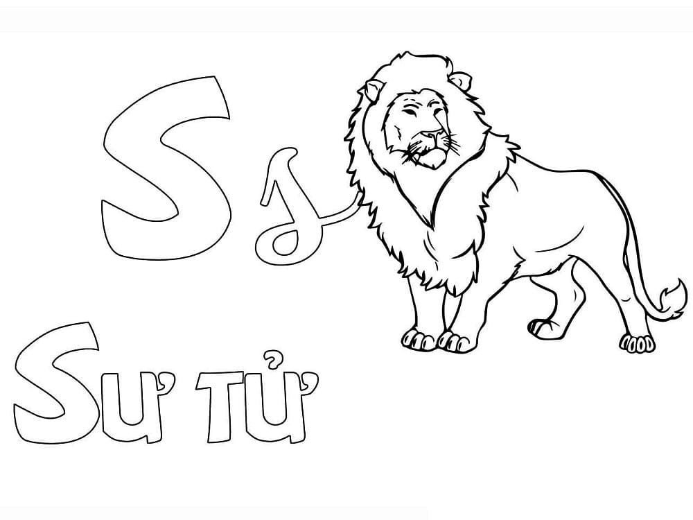 Chữ S Sư Tử