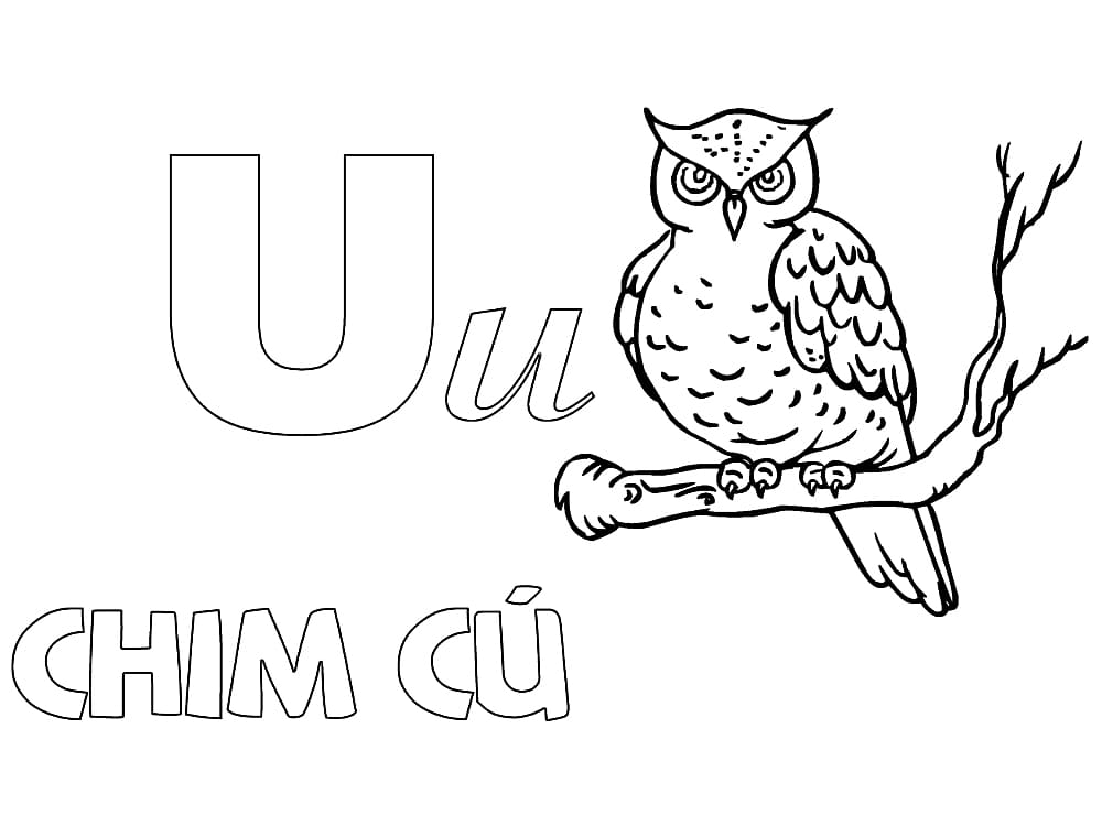 Chữ U Chim Cú