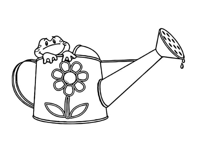 Con Ếch Trong Bình Tưới Cây