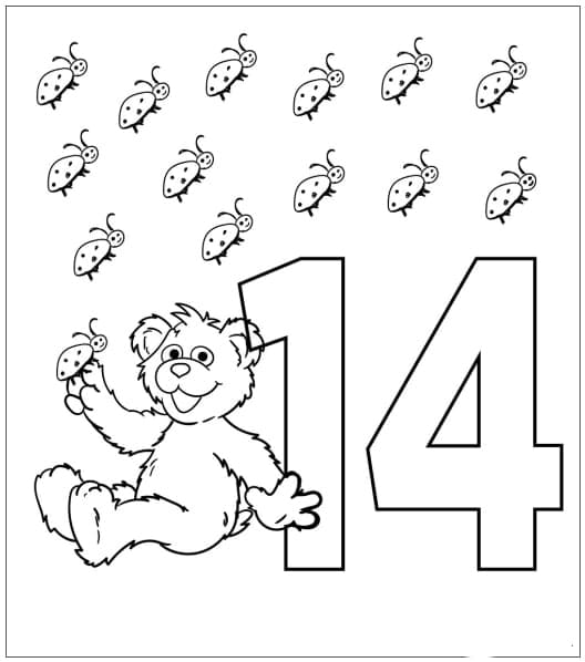 Con Gấu Và Số 14
