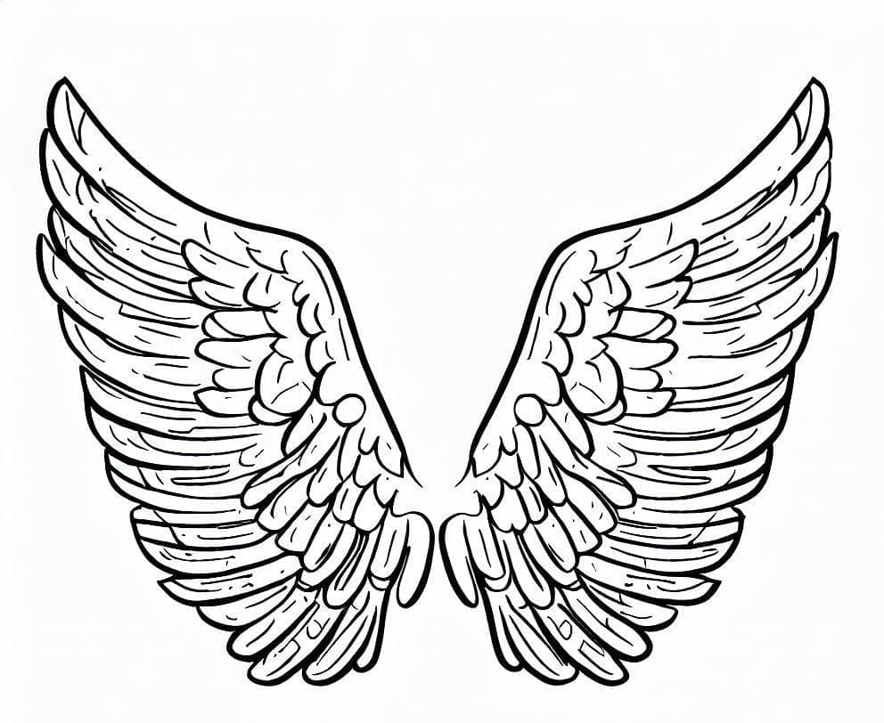 Đôi Cánh Đẹp Nhất