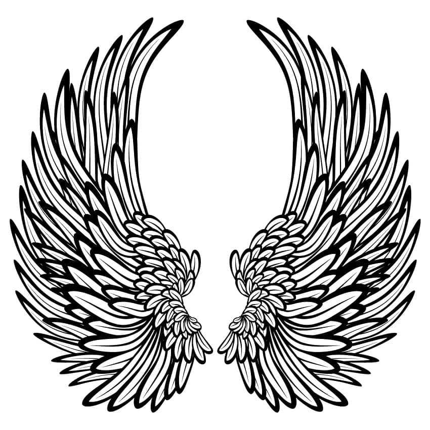 Đôi Cánh Thiên Thần Đẹp Nhất