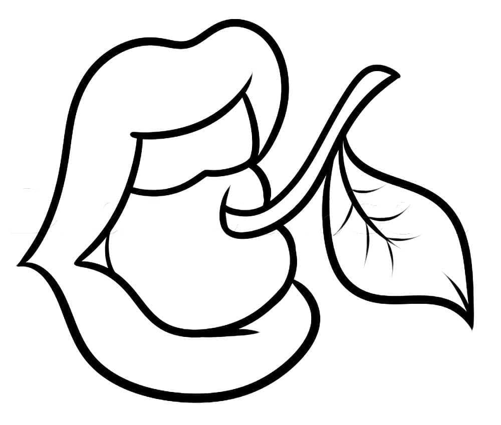 Đôi Môi Ăn Quả