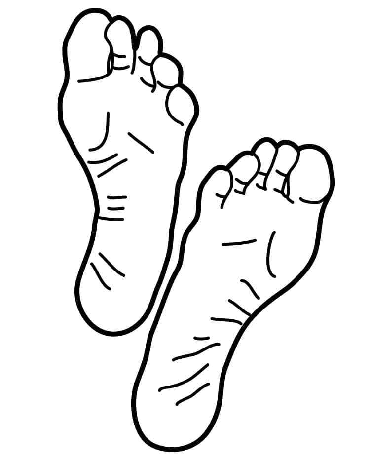 Hình Vẽ Hai Bàn Chân