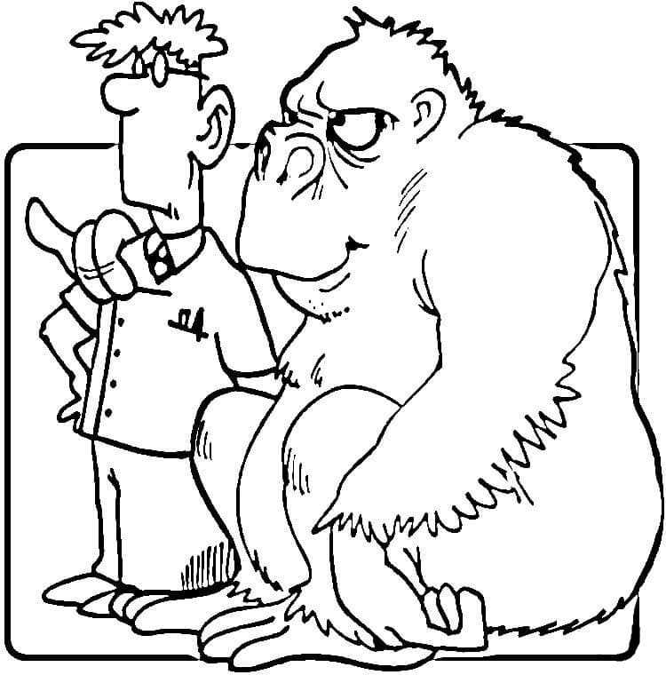 Khỉ Đột và Bác Sĩ Thú Y