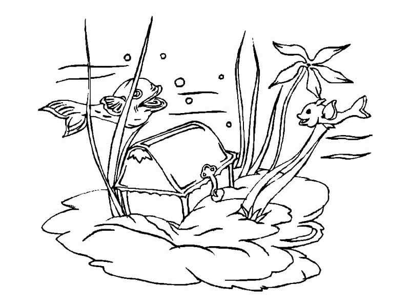 Rương Kho Báu Dưới Đáy Biển