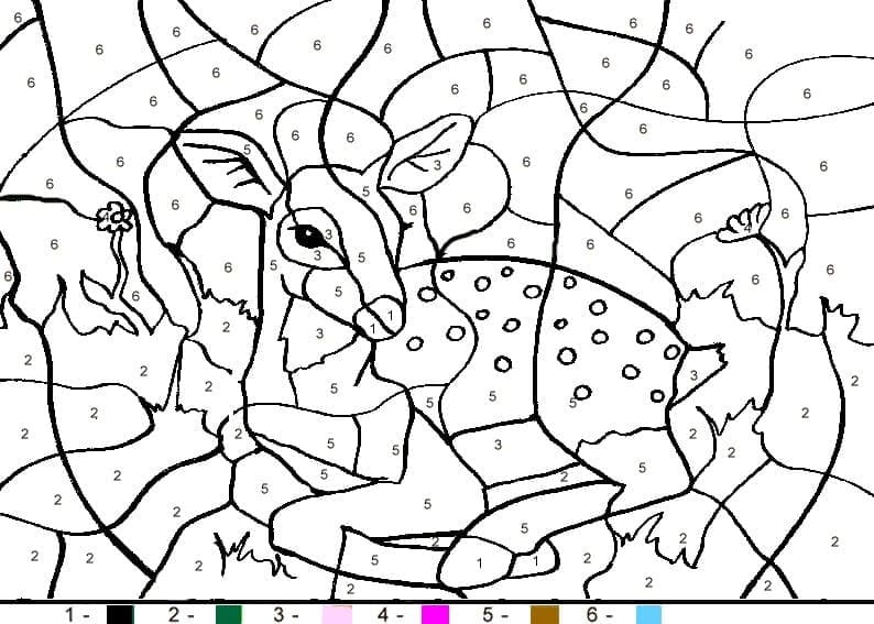 Tô Màu Theo Số Chú Hươu Con