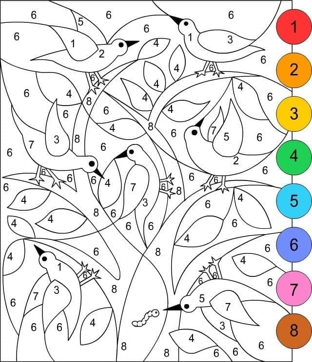 Tô Màu Theo Số Đàn Chim