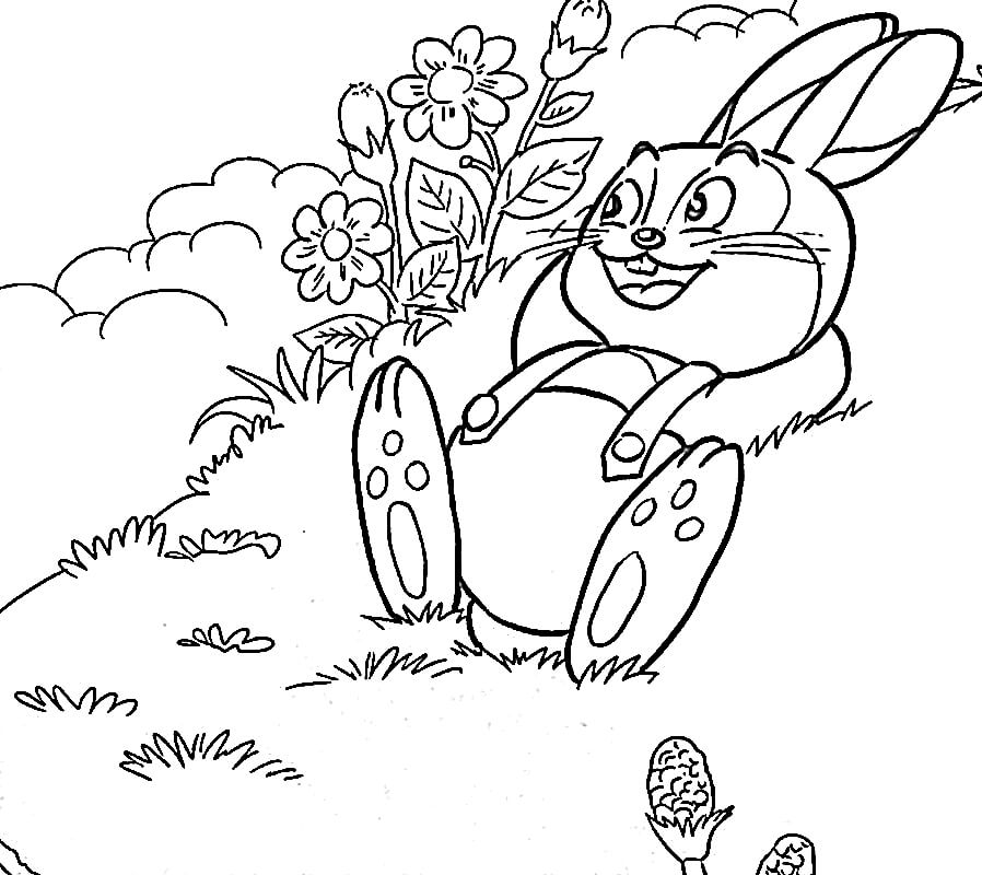 Thỏ Nằm Nghỉ Ngơi