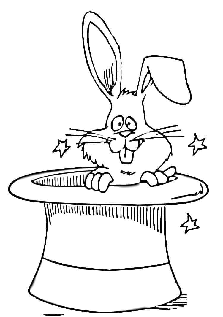 Thỏ Trong Mũ Ảo Thuật Gia