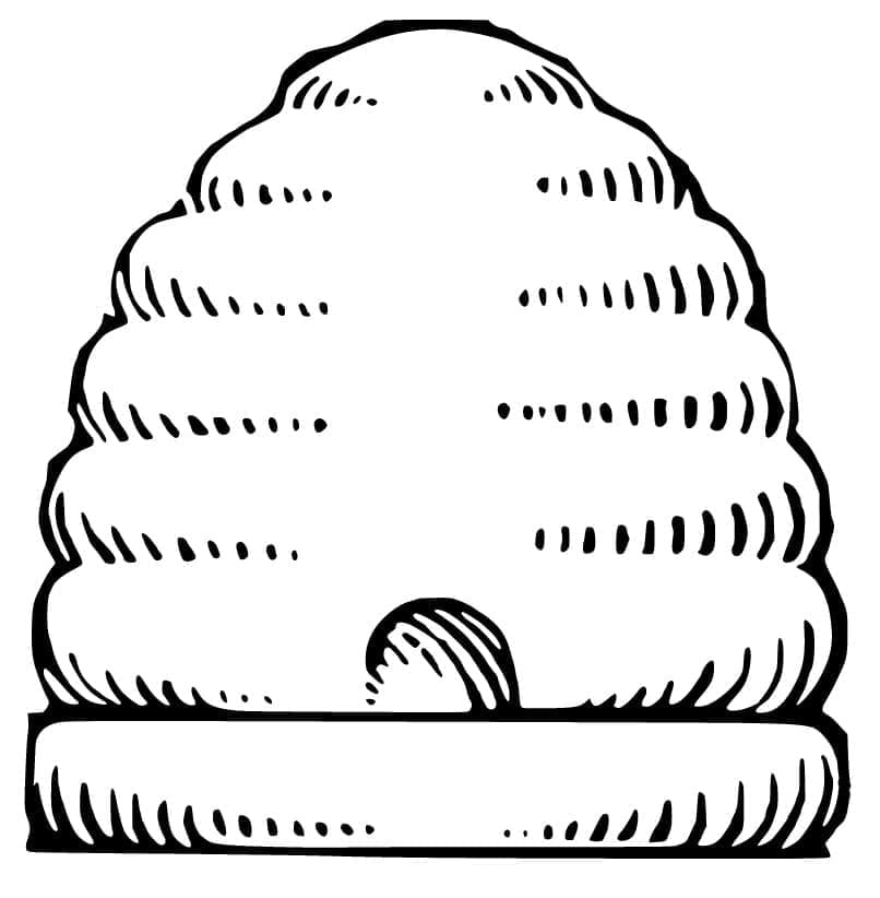 Tổ Ong Đơn Giản