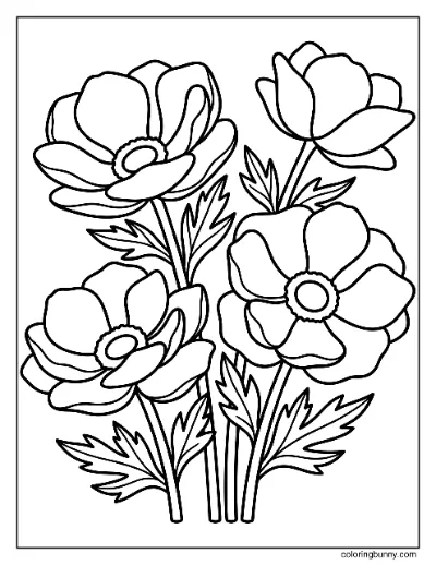 Trang Tô Màu Hoa Anemone