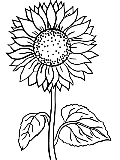 cành hoa hướng dương